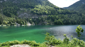 Predilsee scaled